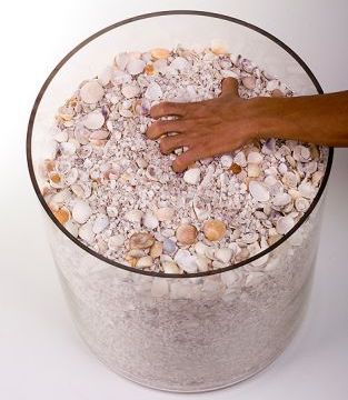 Imagem de capa. Helio Oiticica. Bólide.