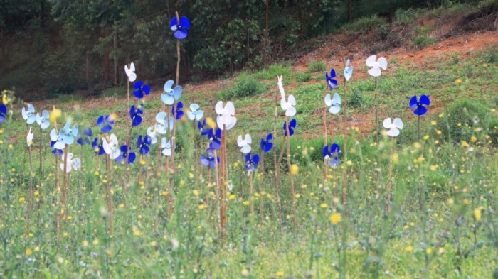 COLETIVOmonográfico. Ventiladores-Cataventos: Homenagem ao Ornamento Degenerado. Sítio Força Verde, 2013
