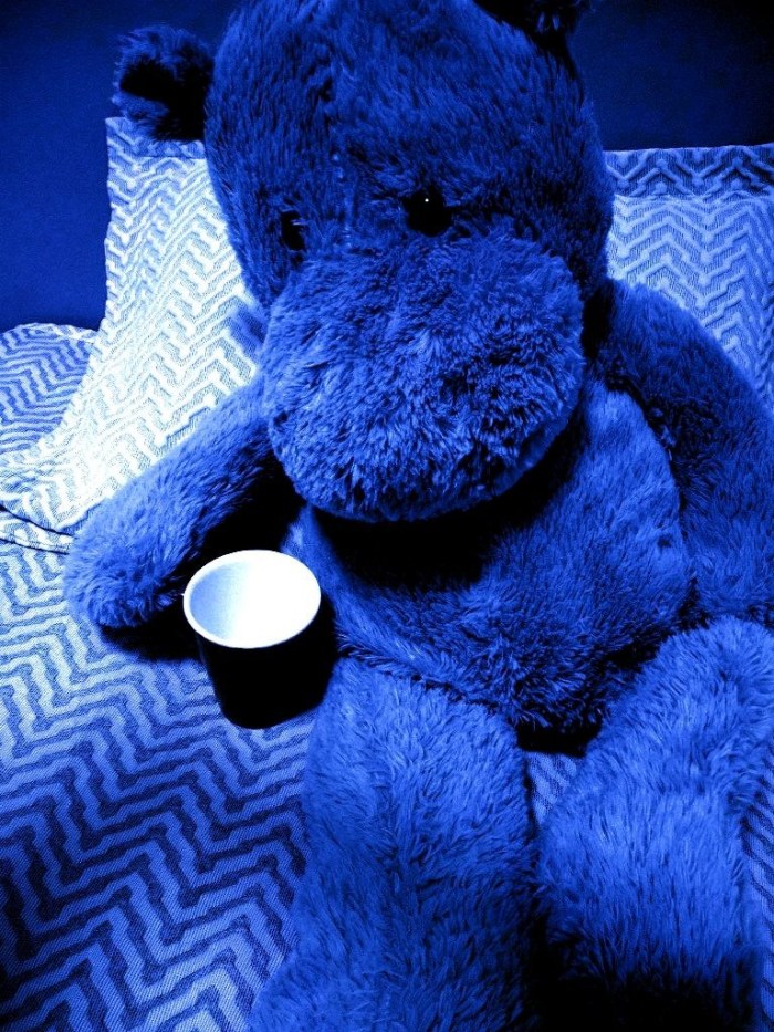 Misu com caneca de cerâmica sobre a cama.