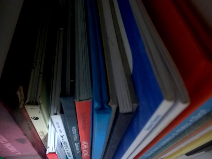 Livros e cadernos vistos de cima.