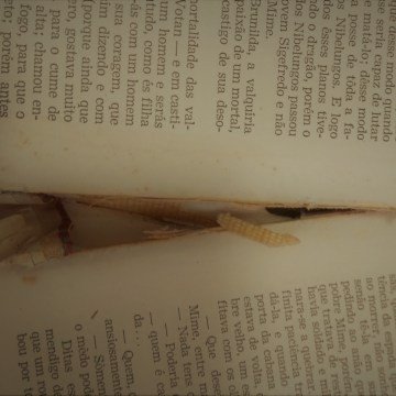 Imagem de capa. Livro. Resenha. Vídeo.