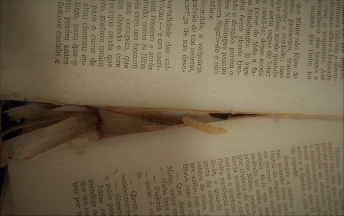 Imagem de capa. Livro. Resenha. Vídeo.