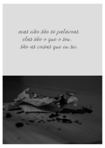 Cecilia - obra Só também é poesia2-016