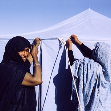 Imagem de capa. Nilu Izad.