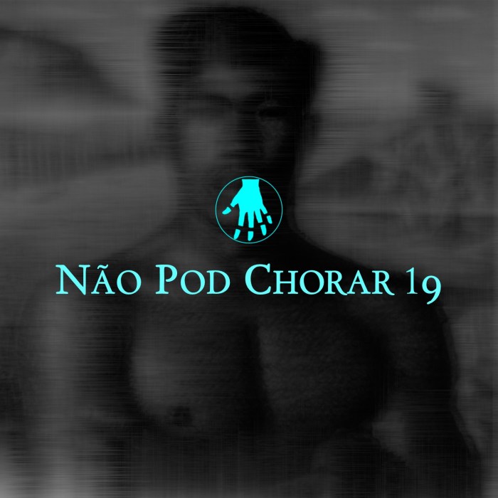 Imagem de capa. Não Pod Chorar 19. O Mestiço. Cândido Portinari. 