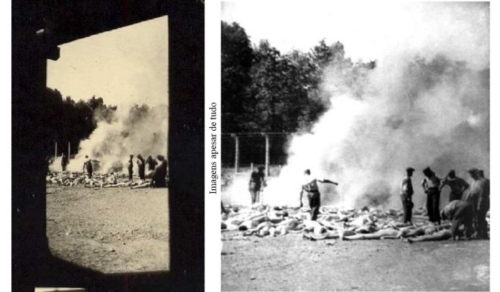 Imagens apesar de tudo