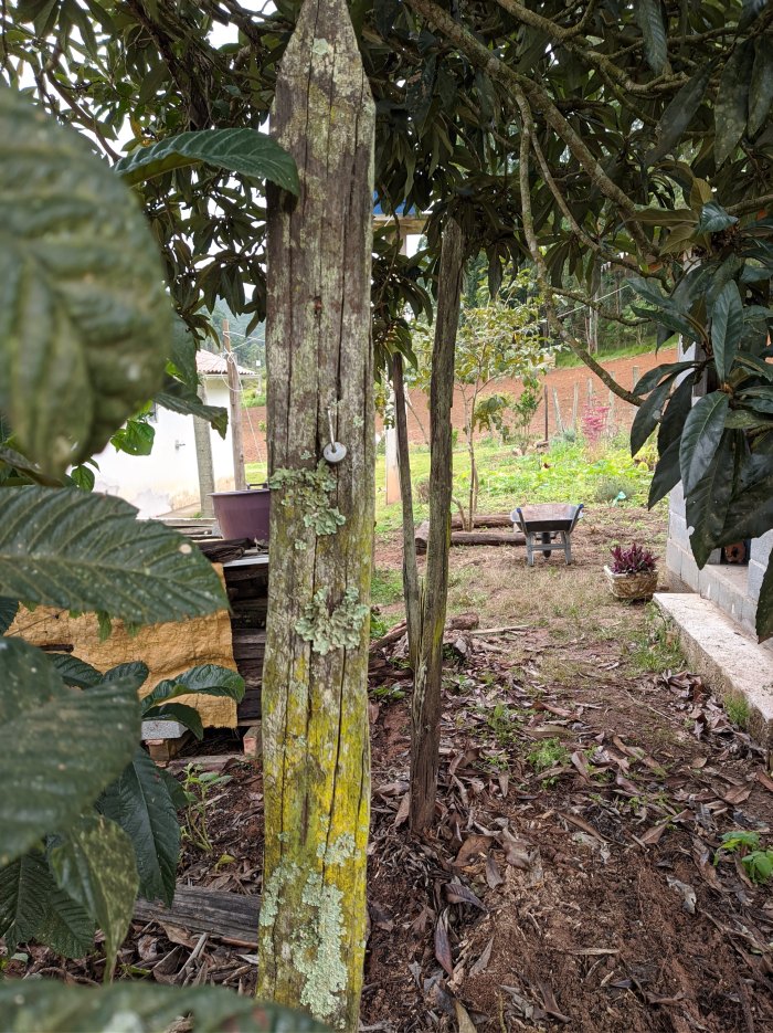 Fotografia de arquivo. Autoetnografia.