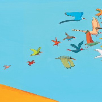 Imagem de capa. Germano Zullo. Os pássaros. Livro infantil.