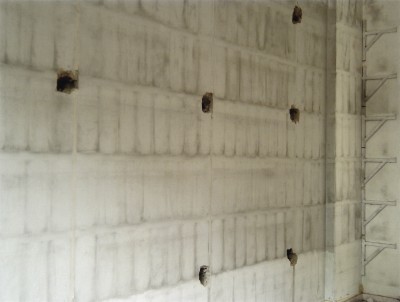 Lais Myrrha. Uma biblioteca para Dibutade.