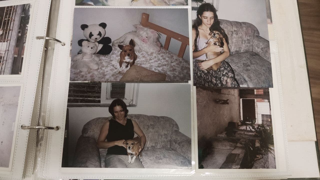 Imagem de capa. Crônica. Álmbum de família. Chihuahua.