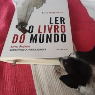 Imagem de capa. Resenha. Ler o livro do mundo. Walter Benjamin.