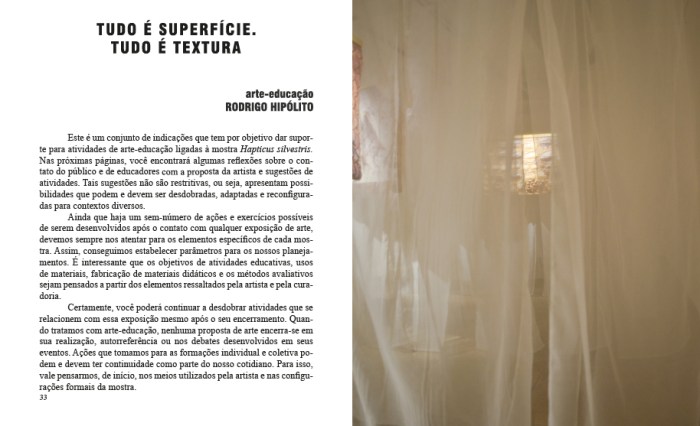 Catálogo. Hapticus Silvestris. Flávia Arruda. Rodrigo Hipólito.