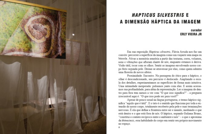 Catálogo. Hapticus silvestris. Flávia Arruda. Erly Vieira Jr.