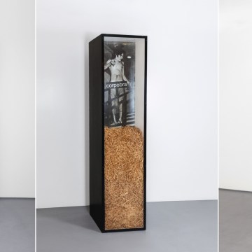 Corpobra, 1970. Antonio Manuel.