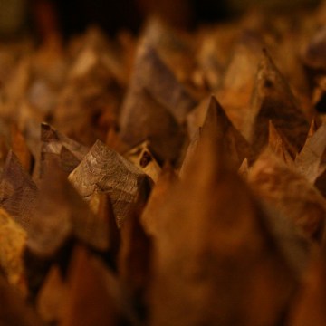 Vitor Monteiro. Apontamentos.