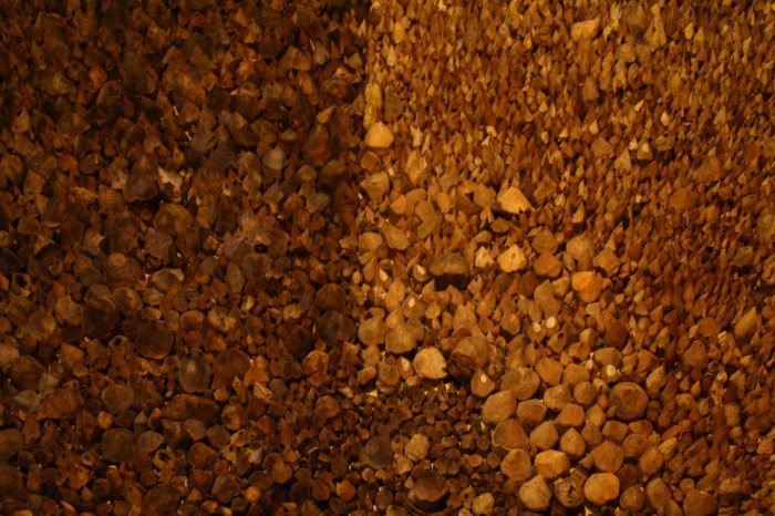 Vitor Monteiro. Apontamentos.