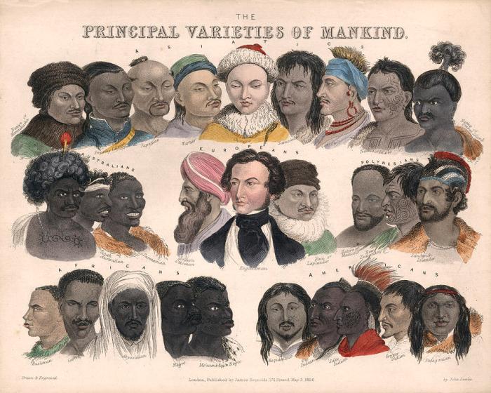 The Principal Varieties of Mankind. Ethnographic Map. Anthropology. Antique Historical chart is a drawing by Studio Grafiikka