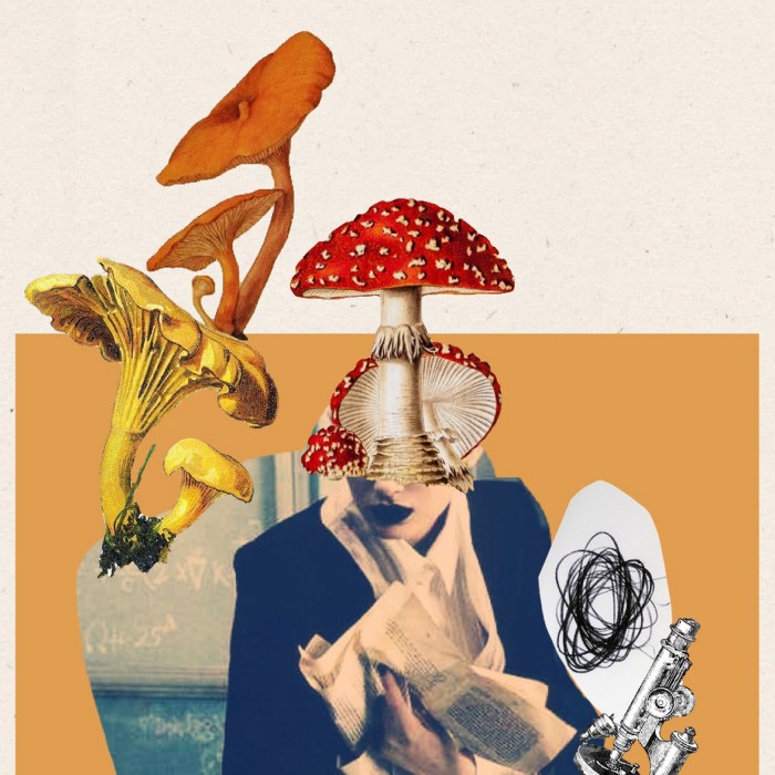 Livro. Paula Gomes. A história termina Carro abandonado.