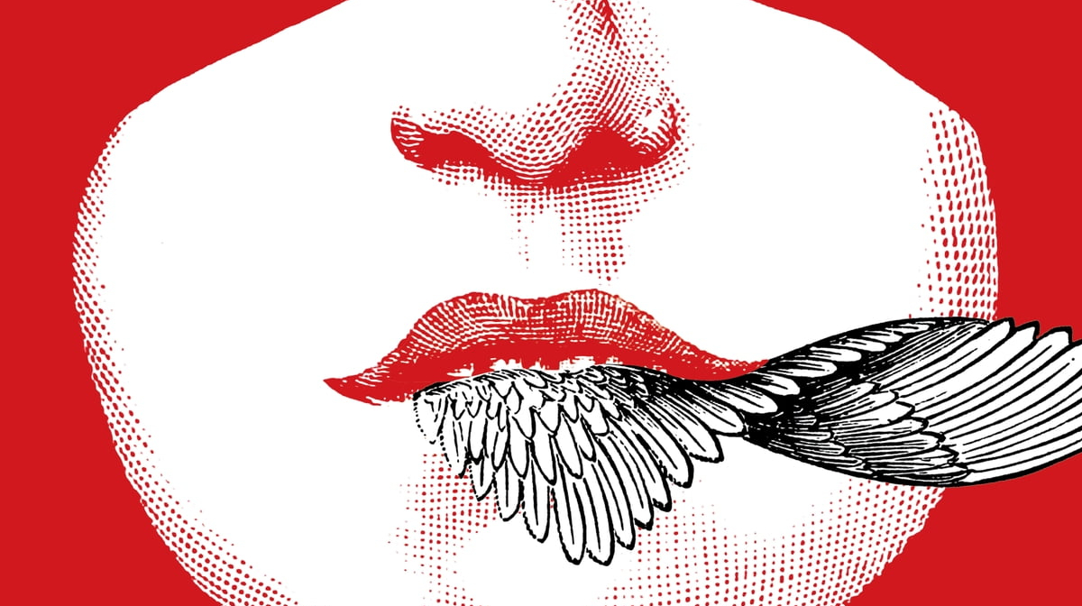 Recorte da capa de "Pássaros na boca e Sete casas vazias: contos reunidos" (Editora Fósforo)